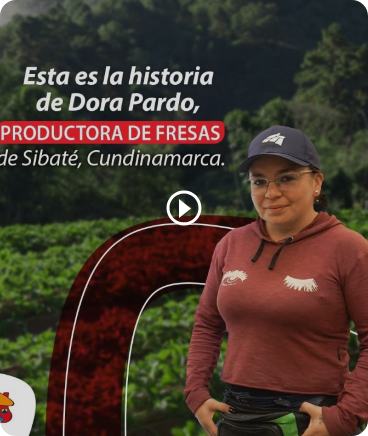 imagen escritorio 2